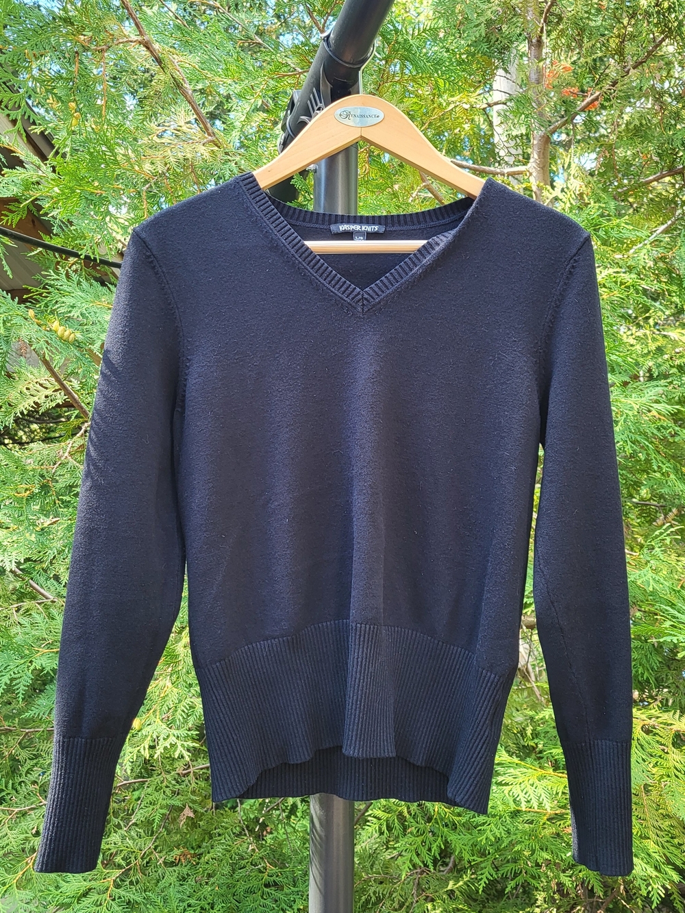 Kasper Women's L V-Neck Sweater in Black